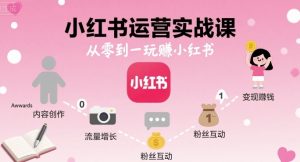 小红书运营实战课，从零到一玩賺小红书-中创网_专注互联网创业,项目资源整合-心诚资源网