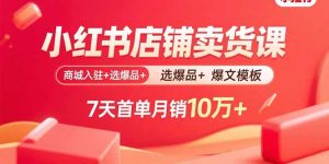 (15955期)小红书店铺卖货课:商城入驻+选爆品+爆文模板,7天首单月销10万+-中创网_专注互联网创业,项目资源整合-心诚资源网
