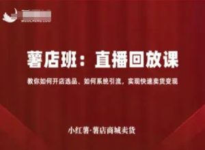 小红薯薯店商城卖货直播回放课，教你如何开店选品、如何系统引流，实现快速卖货变现-中创网_专注互联网创业,项目资源整合-心诚资源网