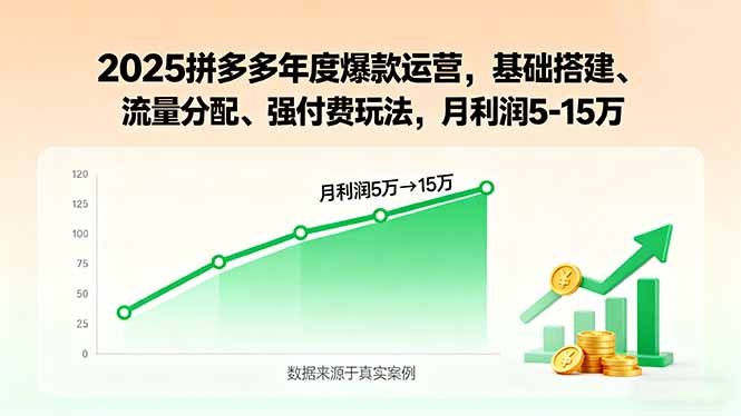 （15973期）2025拼多多年度爆款运营，基础搭建、流量分配、强付费玩法，月利润5-15万-中创网_专注互联网创业,项目资源整合-心诚资源网