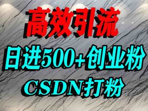 怎么打创业粉?CSDN又一个你不知道的打粉引流神秘平台,单人日引500+精准流量-中创网_专注互联网创业,项目资源整合-心诚资源网