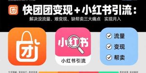 (15877期)快团团变现+小红书引流:解决没流量、难变现、缺帮卖三大痛点 实现月入3w+-中创网_专注互联网创业,项目资源整合-心诚资源网