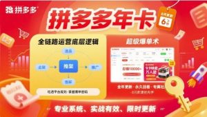 拼多多年卡【8月更新6节】拼多多全链路运营底层逻辑，超级爆单术-中创网_专注互联网创业,项目资源整合-心诚资源网