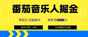 番茄音乐人掘金,单账号最高可撸1k+,可无限矩阵去做,零投入-中创网_专注互联网创业,项目资源整合-心诚资源网