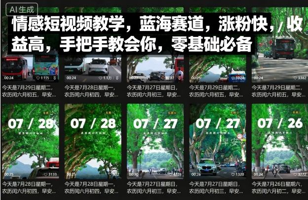 情感短视频教学，蓝海赛道，涨粉快，收益高，手把手教会你，零基础必备-中创网-专注创业项目分享_资源整合-心诚资源网