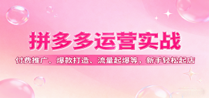 拼多多运营实战,付费推广、爆款打造、流量起爆等,新手轻松起店-中创网_专注互联网创业,项目资源整合-心诚资源网