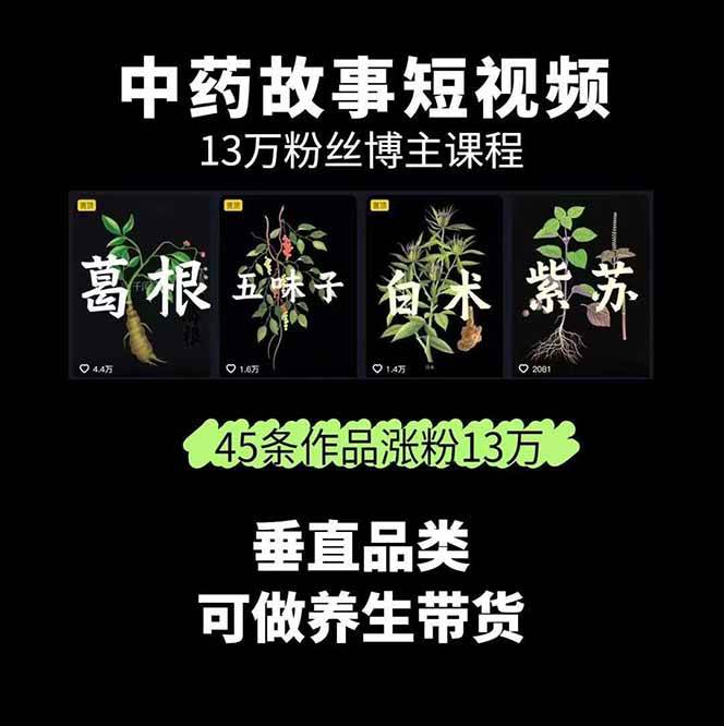图片[2]-中药文化赛道：溯源故事开发，AI工具实战，平台运营，全方位解锁中医流量变现新路径