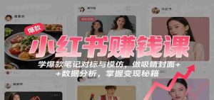 小红书赚钱课:学爆款笔记对标与模仿,做吸睛封面 + 数据分析,掌握变现秘籍-中创网-专注创业项目分享_资源整合-心诚资源网