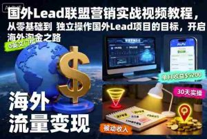国外Lead联盟营销实战视频教程,从零基础到独立操作国外Lead项目的目标,开启海外淘金之路-中创网-专注创业项目分享_资源整合-心诚资源网