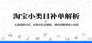 淘宝小类目补单解析:从基础到方式,优势好处及稽查、降权因素等核心内容-中创网-专注创业项目分享_资源整合-心诚资源网