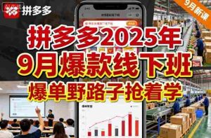 拼多多2025年9月爆款线下班，爆单野路子抢着学-中创网-专注创业项目分享_资源整合-心诚资源网