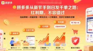 拼多多从新手到日发千单之路,拼多多红利期,不容错过【音频】-中创网-专注创业项目分享_资源整合-心诚资源网