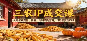 三农IP成交课:从定位到流量、内容,再到拍摄剪辑,打造能变现的IP-中创网-专注创业项目分享_资源整合-心诚资源网