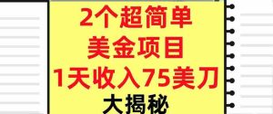 2个超简单美金项目，1天收入75美刀，3分钟学会，内部教程（大揭秘）-中创网-专注创业项目分享_资源整合-心诚资源网