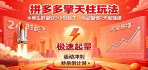 拼多多擎天柱玩法,水果生鲜最快2小时起飞,标品最慢2天起链接-中创网-专注创业项目分享_资源整合-心诚资源网