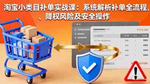 (16239期)淘宝小类目补单实战课:系统解析补单全流程、降权风险及安全操作-中创网-专注创业项目分享_资源整合-心诚资源网