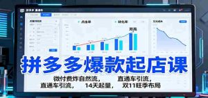 拼多多爆款起店课:微付费炸自然流,直通车引流,14天起量,双11旺季布局-中创网-专注创业项目分享_资源整合-心诚资源网