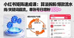 (16231期)小红书矩阵起号速成课:算法拆解/爆款流水线/关键词截流 单账号日增粉100+-中创网-专注创业项目分享_资源整合-心诚资源网