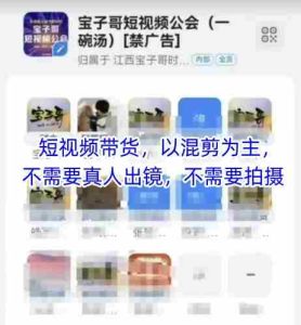宝子哥头部团队短视频带货,以混剪为主,不需要真人出镜,不需要拍摄【更新9月】-中创网-专注创业项目分享_资源整合-心诚资源网