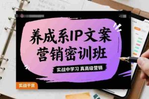 养成系IP文案营销密训班，实战中学习真高级营销-中创网-专注创业项目分享_资源整合-心诚资源网