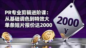 (16381期)PR专业剪辑进阶课:从基础调色到特效大片的进阶技能,单条短片报价达2000-中创网-专注创业项目分享_资源整合-心诚资源网