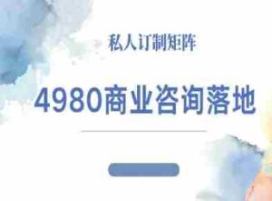 4980商业咨询师落地课程-ip运营高客单教程-中创网-专注创业项目分享_资源整合-心诚资源网