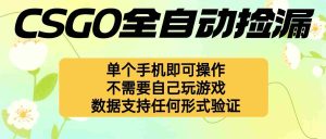 (16207期)自动挂机捡漏,不用自己挂机不用玩游戏,一个手机即可操作。新手小白轻…-中创网-专注创业项目分享_资源整合-心诚资源网