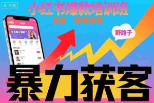 小红书爆款培训班，小红书获客野路子流量打法，暴力持续获客-中创网-专注创业项目分享_资源整合-心诚资源网