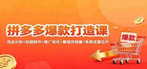 拼多多爆款打造课:竞品分析+标题制作+推广优化+黑搜改销量+免费流量拉升-中创网-专注创业项目分享_资源整合-心诚资源网