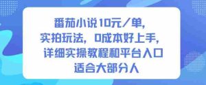 番茄小说10米每单,实拍玩法,0成本好上手,详细实操教程和平台入口适合大部分人-中创网-专注创业项目分享_资源整合-心诚资源网