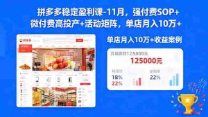 （16557期）拼多多稳定盈利课-11月，强付费SOP+微付费高投产+活动矩阵，单店月入10w+-中创网-专注创业项目分享_资源整合-心诚资源网
