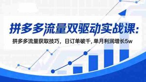 (16563期)拼多多流量双驱动实战课:拼多多流量获取技巧,日订单破千,单月利润增长5w-中创网-专注创业项目分享_资源整合-心诚资源网