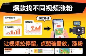 爆款找不同视频涨粉,让视频拉停留,实现点赞,破播放,涨粉-中创网-专注创业项目分享_资源整合-心诚资源网